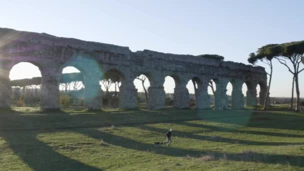 Cani Passeggio Italiani Parco Acquedotti — Video Stock