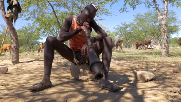 Afrikansk Trumpet Man Norra Namibia Förening Nära Opuwo Namibia — Stockvideo