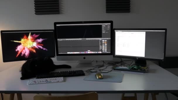 Workstation Cat Front Apple Imac — ストック動画