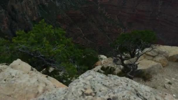 Grand Canyon Během Bouřkového Zatažení — Stock video