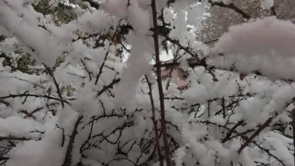 Snow Aosta Valley — Stock Video