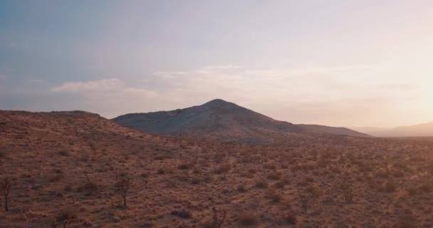ジョシュア ツリー モハベ砂漠上空の空中上昇カリフォルニアのピンクの夏の日没 — ストック動画