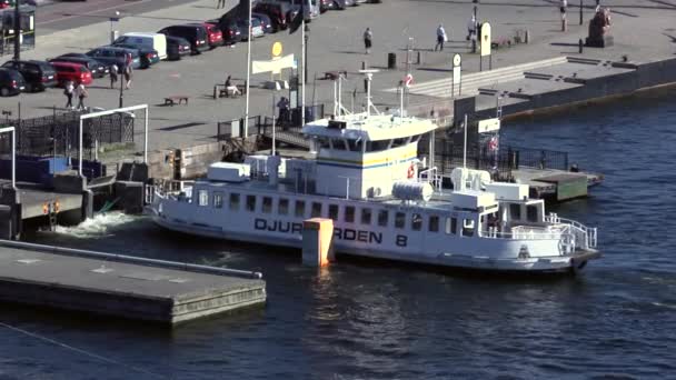 Stockholms Busy Scenic Saltsjon Waterway Full Färjor Och Fartyg — Stockvideo