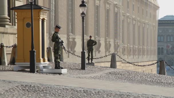 Stockholm Kraliyet Sarayı Nöbetçi Muhafızları — Stok video