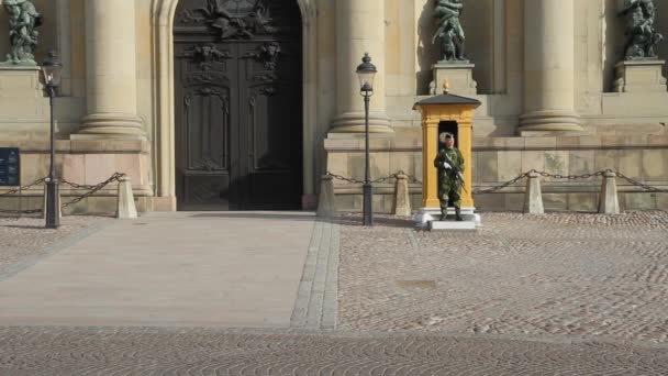 Koninklijk Paleis Van Stockholm Wacht — Stockvideo