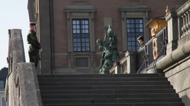 Guardias Del Palacio Real Estocolmo Servicio — Vídeos de Stock