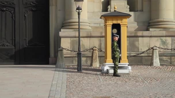 Stockholm Kraliyet Sarayı Nöbetçi Muhafızları — Stok video