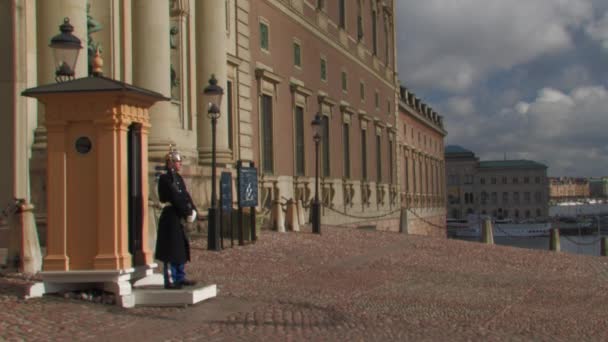 Guardias Del Palacio Real Estocolmo Servicio — Vídeo de stock