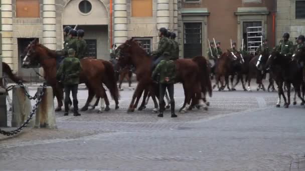 Stockholm Royal Palace Guards Duty — Stock Video