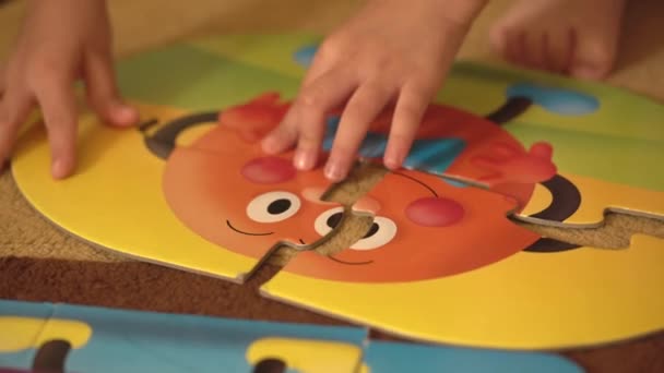 Close Meisje Handen Spelen Puzzels — Stockvideo