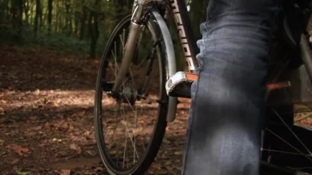 Uomo Fermare Sua Bicicletta Scendere Una Foresta — Video Stock