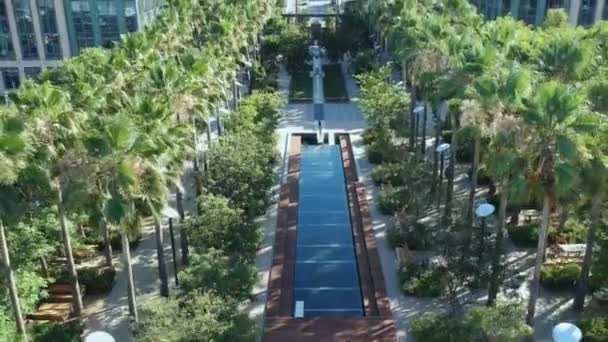 Epic Shot Blue Fountain Surrounded Healthy Palm Trees — Stock Video