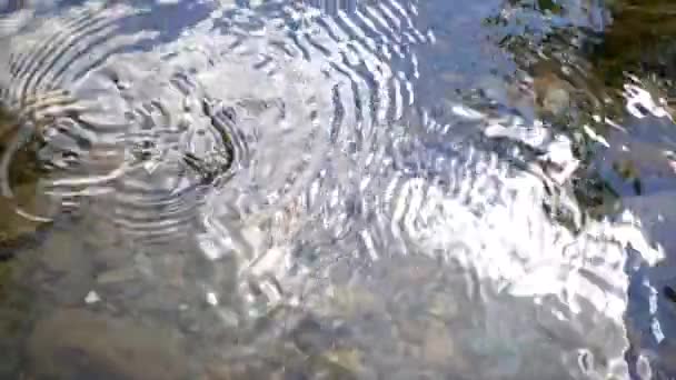 Вода Плещется Краю — стоковое видео
