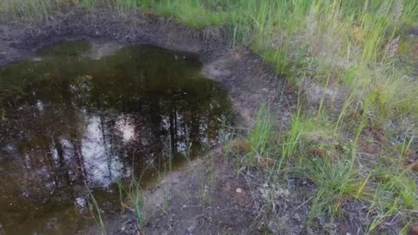 干涸的河流中的污水池 — 图库视频影像