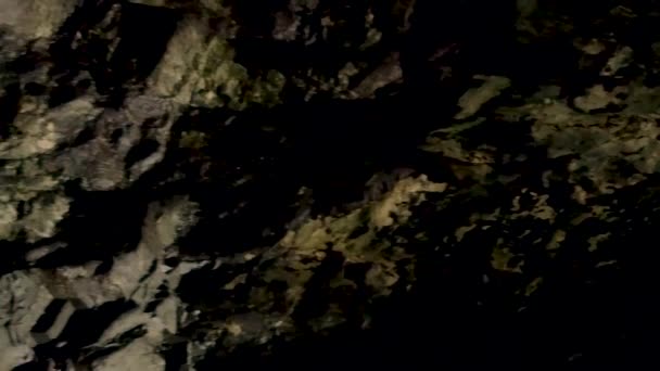 Видеозапись Беспилотника Dji Mavic Pro Над Мендосино Калифорния Снятая Побережье — стоковое видео