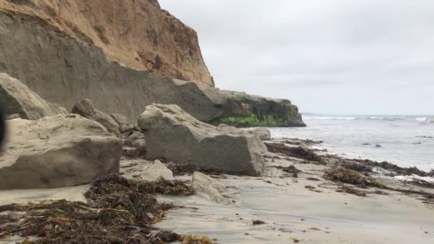 Het Verkennen Van Het Landschap Langs Het Strand — Stockvideo