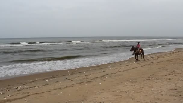 Man Ridning Häst Nära Stranden Vid Marinan Stranden Med Oidentifierade — Stockvideo