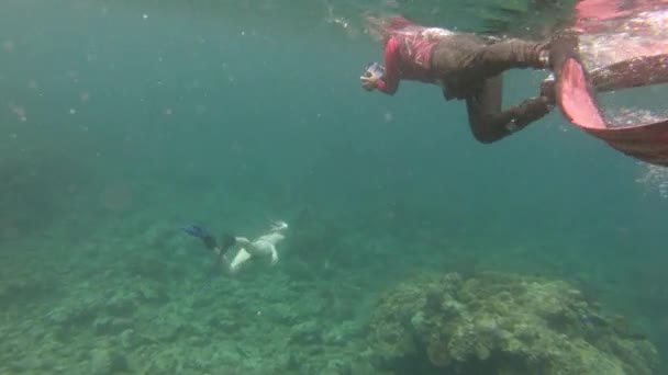 Eine Junge Durchtrainierte Frau Bikini Schwimmt Unter Wasser Über Ein — Stockvideo