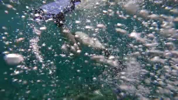 Прицел Женщины Бикини Трубкой Прыжками Воду Через Коралловый Риф Филиппинах — стоковое видео