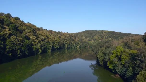 Вид Повітря Спокійну Річку Посеред Лісу — стокове відео