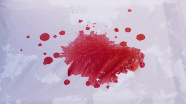 Large Pool Blood Seeping Wet Fabric Blood Element Used Vfx — Stock Video