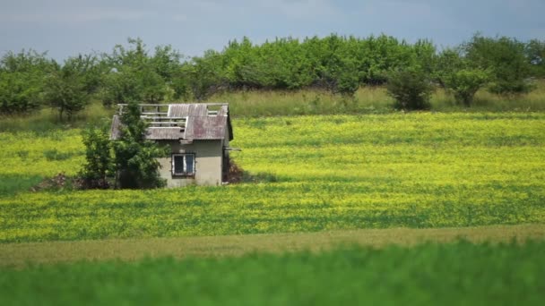 Casa Pueblo Abandonada Campo — Vídeos de Stock