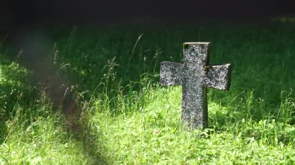 旧戦争兵士墓地 — ストック動画