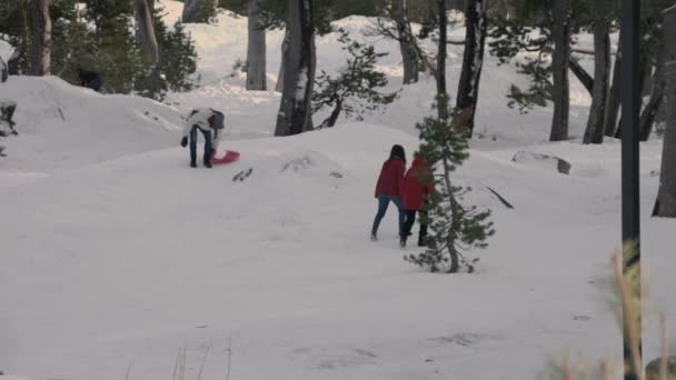 Duas Crianças Estão Andando Uma Colina Coberta Neve Jovem Está — Vídeo de Stock