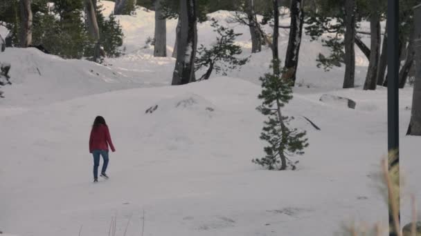 2人の若者と若い女性が雪の丘を歩いている — ストック動画