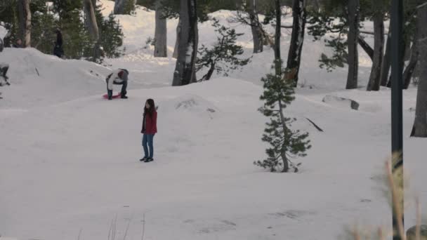 3人は雪の丘にあり 2人は歩きながら話しており 1人はそりの準備をしています — ストック動画