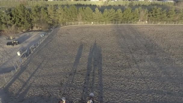 Een Luchtfoto Van Een Paardenarena Meridian Idaho Drone Beelden — Stockvideo