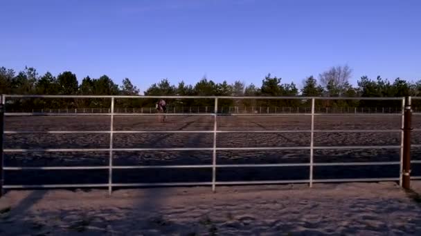 太陽が沈む午後遅くに撮影された馬のアリーナのドローンビデオ映像 — ストック動画