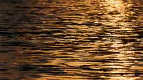 ウィーンの湖の水に沈む夕日 — ストック動画