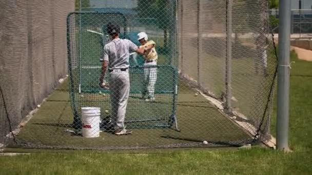 Group Young Men Practicing Baseball Sunny Day — Stock Video