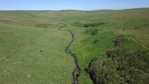 Wide Aerial Shot Tracking Forward Wistmans Wood River Grassy Moorland — Stock Video