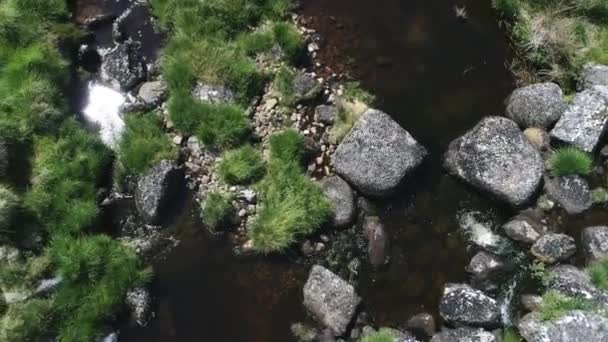 Birdseye Close Aerial Tracking Forward Rocky River Downstream Surrounded Grassy — Video