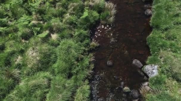 Birdseye Close Aerial Rocky River Facing Downstream Surrounded Grassy Moor — Vídeos de Stock