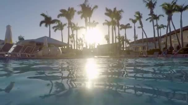 Úszás Egy Medencében Egy Trópusi Helyen Naplementekor — Stock videók