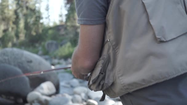 Bakifrån Medelålders Flugfiske Dinkey Creek Kalifornien Sierra Nevada Bergen — Stockvideo