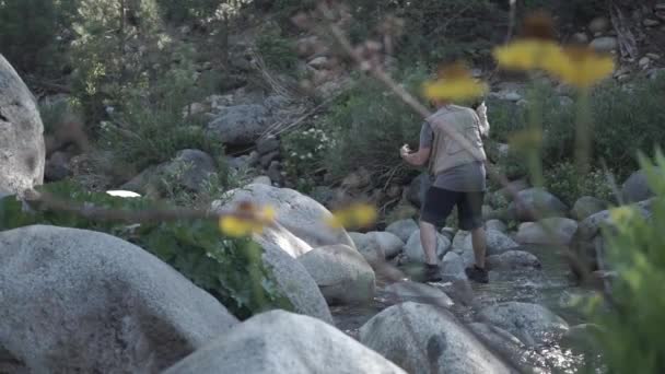 Pesca Mosca Uomo Mezza Età Dinkey Creek California Nelle Montagne — Video Stock
