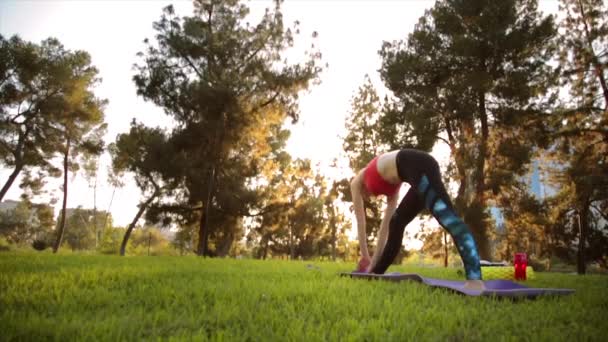 Brett Skott Vacker Ung Passform Kaukasiska Kvinna Utanför Gör Yoga — Stockvideo