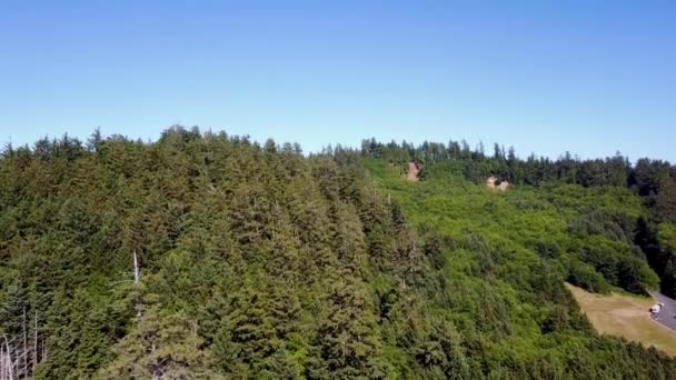 从森林到海滩的悬崖下俯冲的无人机镜头 — 图库视频影像