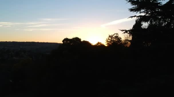 ヨハネスブルグの郊外の地平線をピークに太陽に松の木の上に上昇するドローン映像 — ストック動画