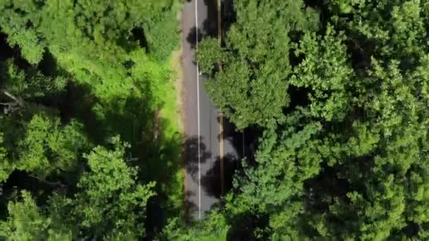 Drone Flying Backroad Kijkende Trog Bomen — Stockvideo