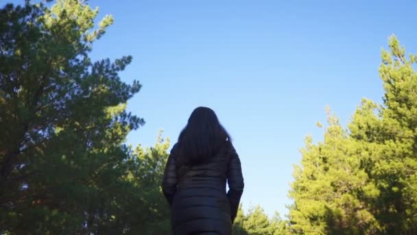 Chica Joven Caminando Por Bosque Rodeado Pinos Altos Día Soleado — Vídeos de Stock