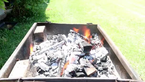 Άνθρακας Έτοιμος Για Μπάρμπεκιου Καλοκαίρι Φλόγες Από Λαμπερό Άνθρακα — Αρχείο Βίντεο