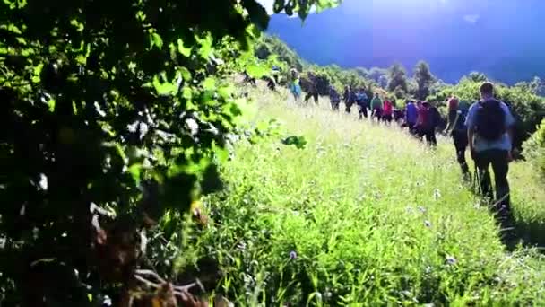 Grupo Montanhistas Caminhando Por Uma Trilha Florestal Nas Montanhas Theth — Vídeo de Stock