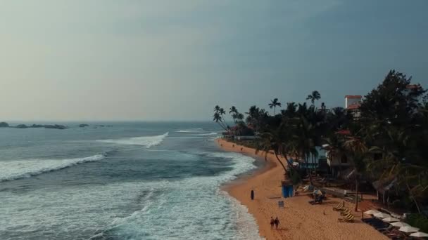 Playa Sri Lanka Con Palmeras Surfistas Buen Tiempo Arena Caliente — Vídeos de Stock