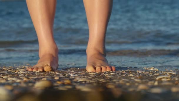 Наслаждение Песком Между Пальцами Ног Девушка Стоящая Краю Воды Пляже — стоковое видео