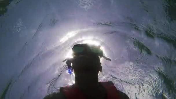 Schwimmen Mit Schildkröten Ozean — Stockvideo